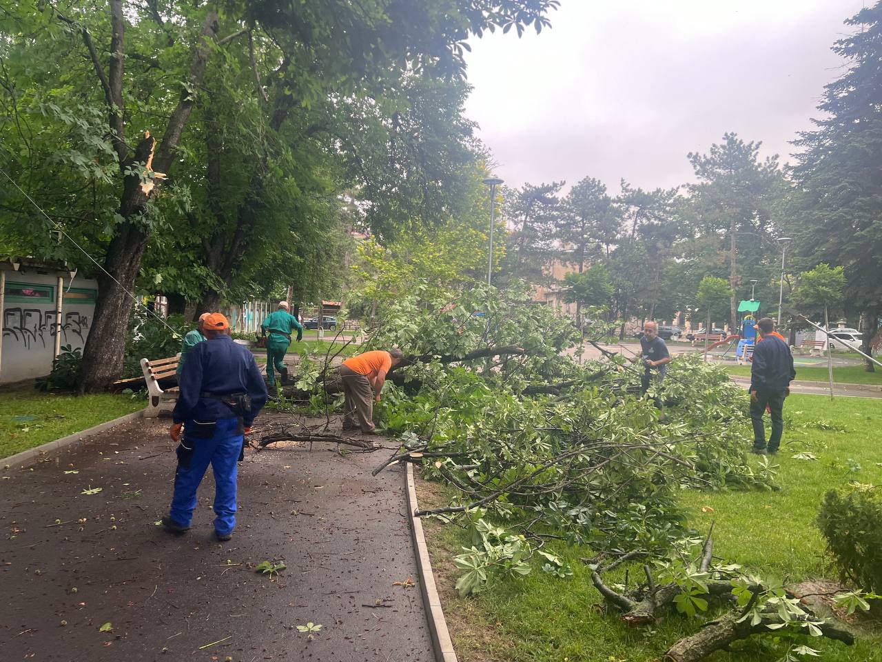 Над 230 служители от дежурните екипи отстраняват щетите след бурята в Русе