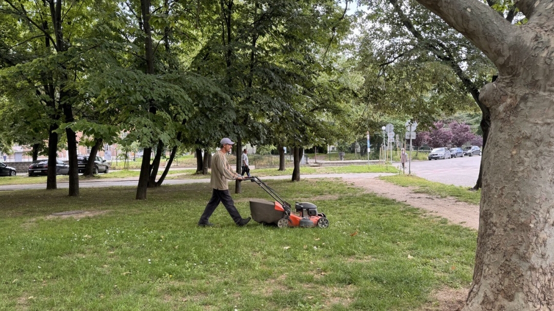 Общинските екипи продължават косенето на тревните площи в Русе