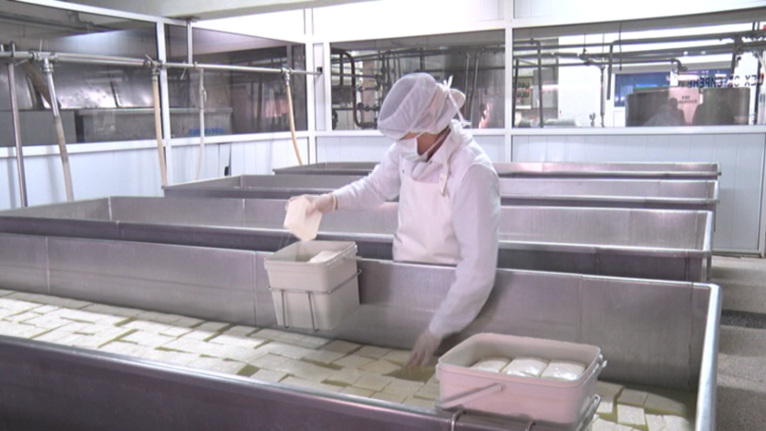 "Активни потребители" за качеството на млечните продукти: БАБХ да оповестява кои марки са с нарушения