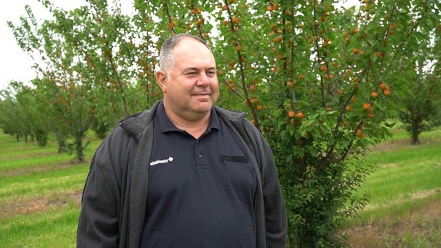 Известен овощар от Русенско мечтае България да стане овощната градина на Балканите