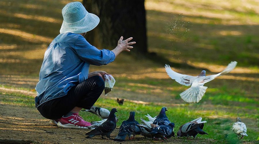 Предимно слънчево и топло за сезона, но и ветровито
