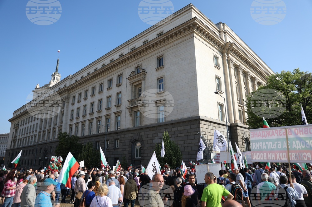 Поддръжници на лева се събраха пред сградата на Народното събрание